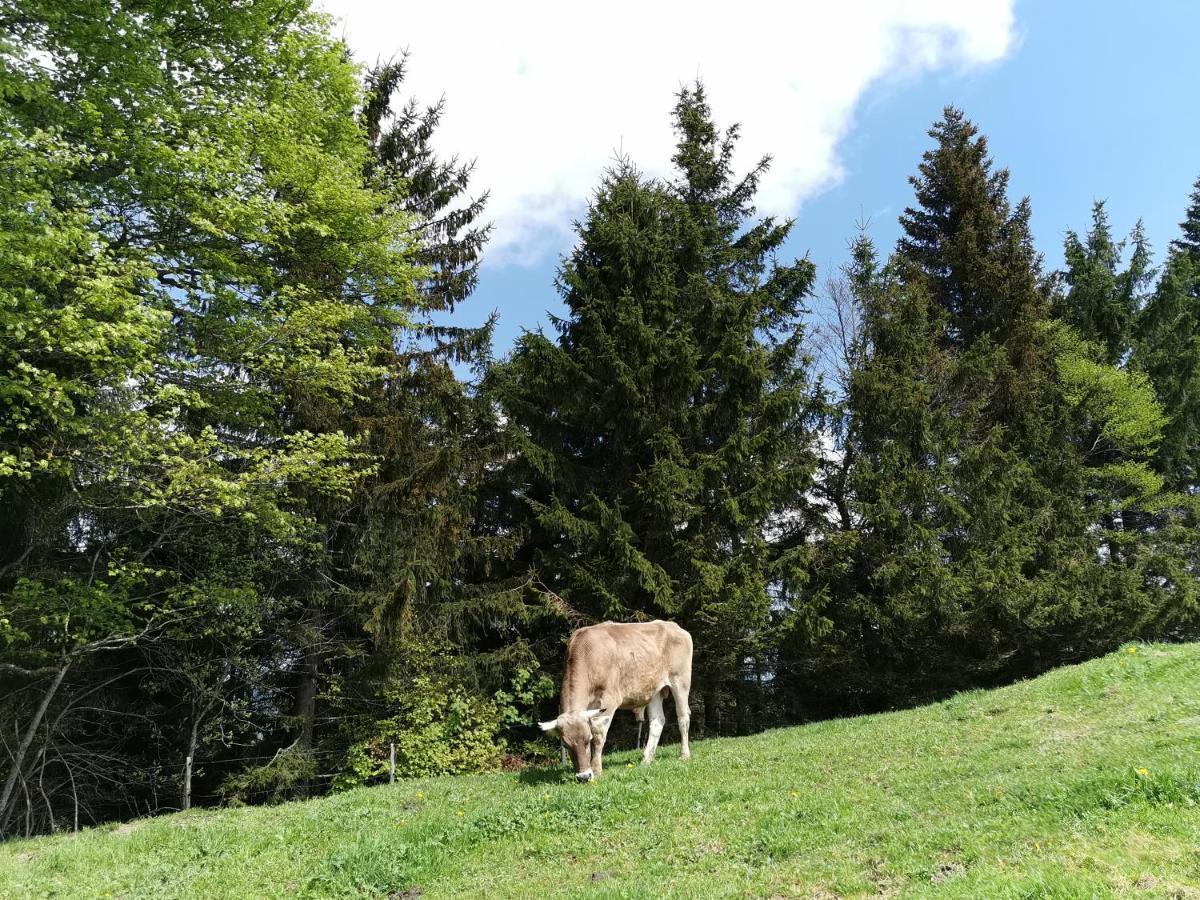 Allgäuer Ausblick Missen-Wilhams Exterior foto