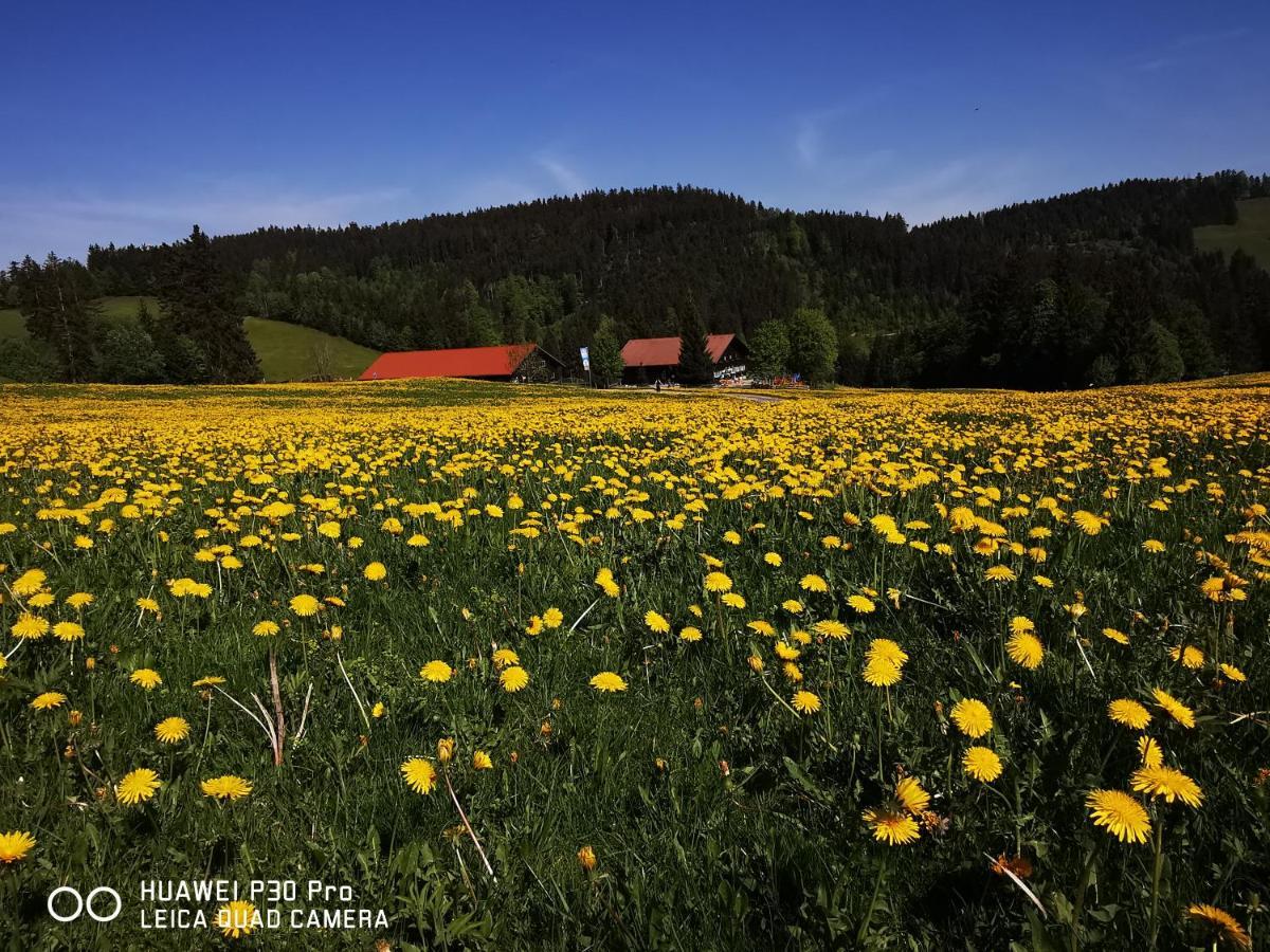 Allgäuer Ausblick Missen-Wilhams Exterior foto